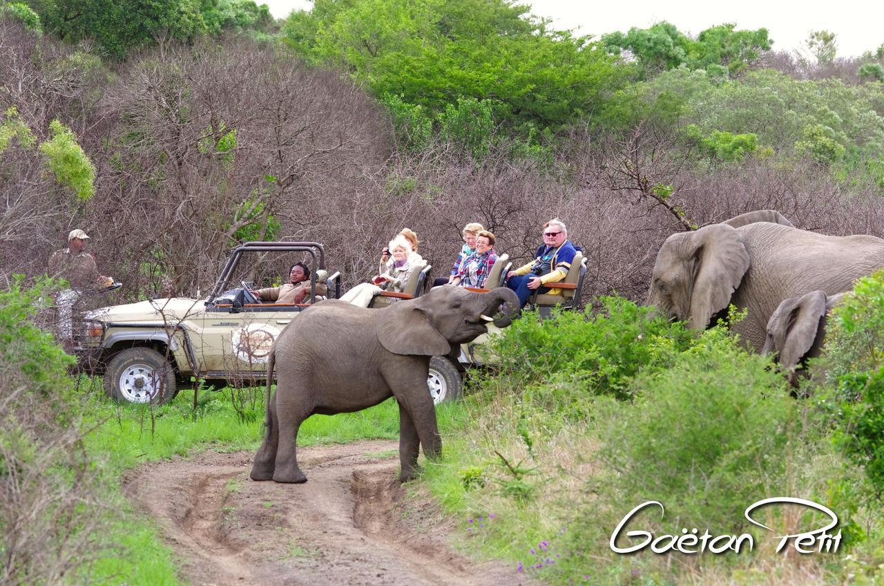 Thula Thula Exclusive Private Game Reserve & Lodge Ntambanana Kültér fotó