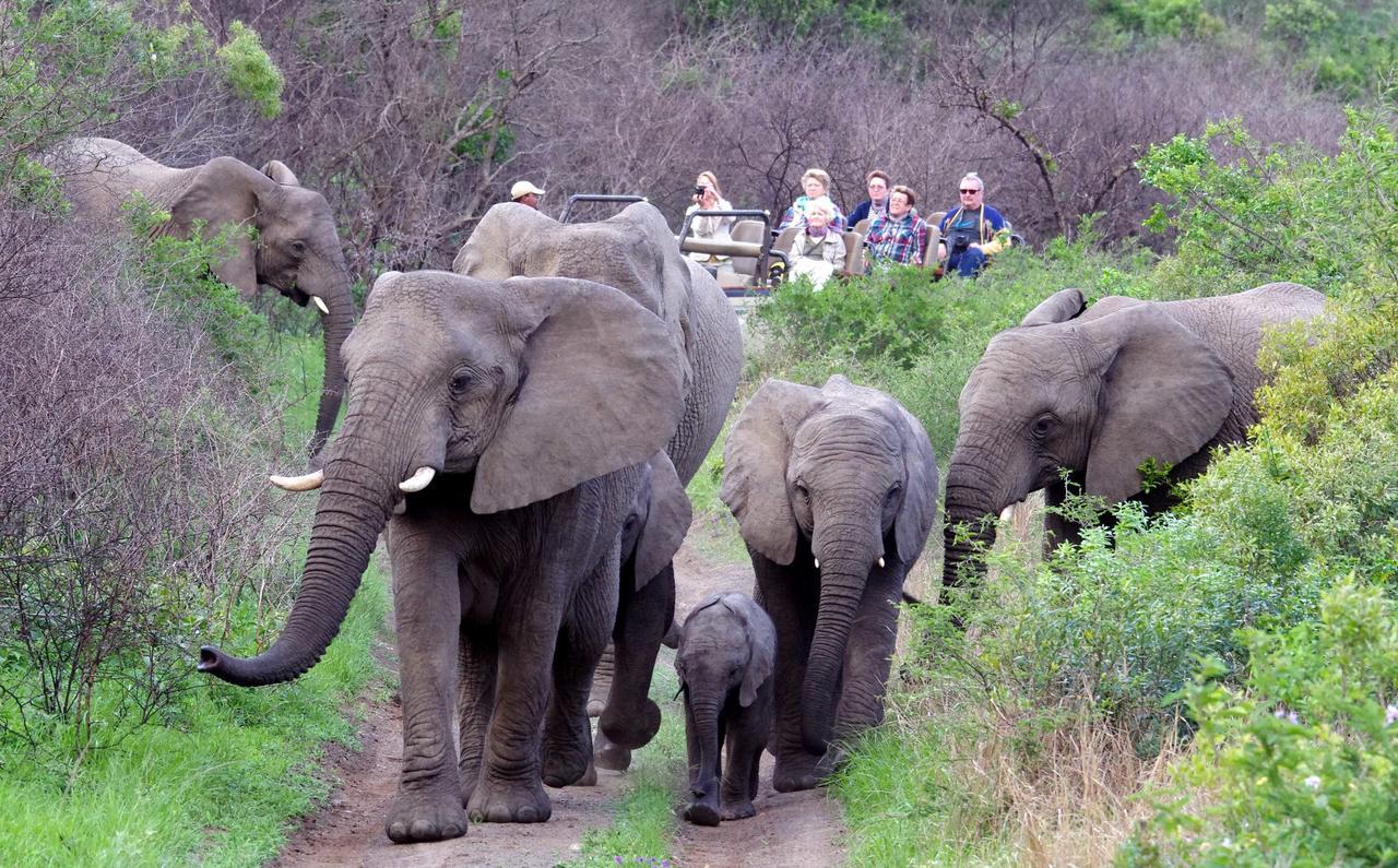 Thula Thula Exclusive Private Game Reserve & Lodge Ntambanana Kültér fotó