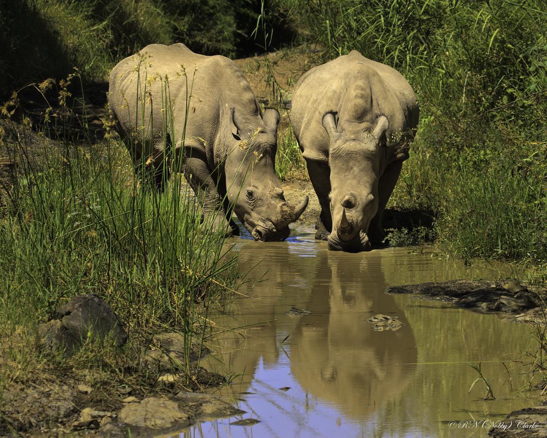 Thula Thula Exclusive Private Game Reserve & Lodge Ntambanana Kültér fotó