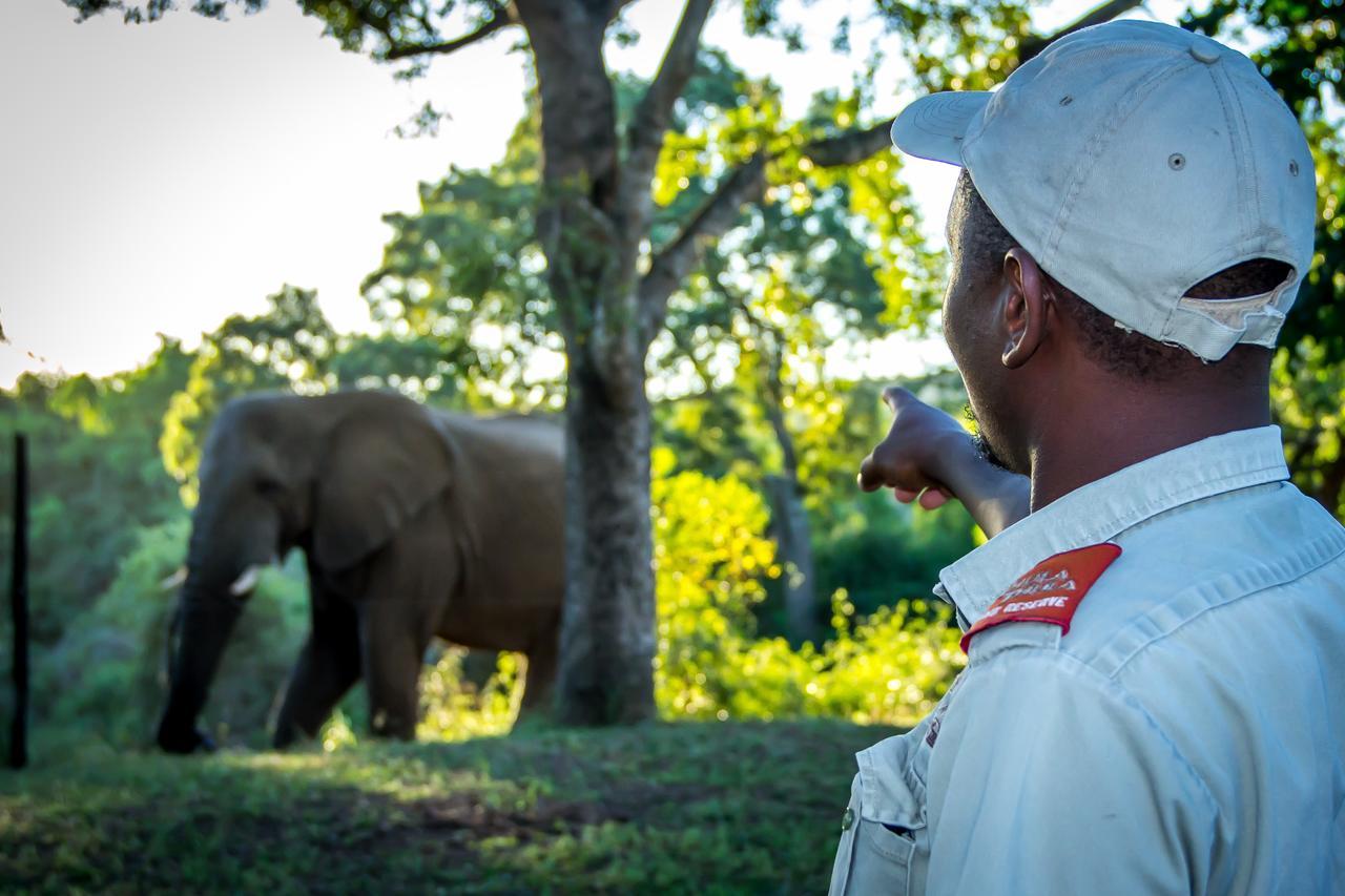 Thula Thula Exclusive Private Game Reserve & Lodge Ntambanana Kültér fotó