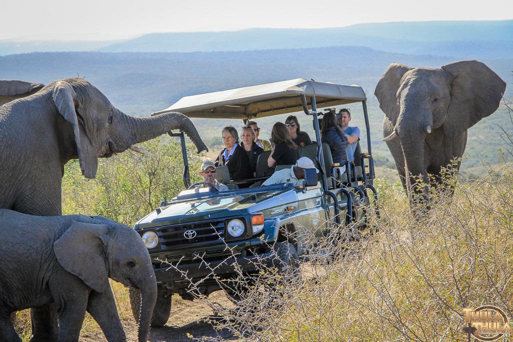 Thula Thula Exclusive Private Game Reserve & Lodge Ntambanana Kültér fotó