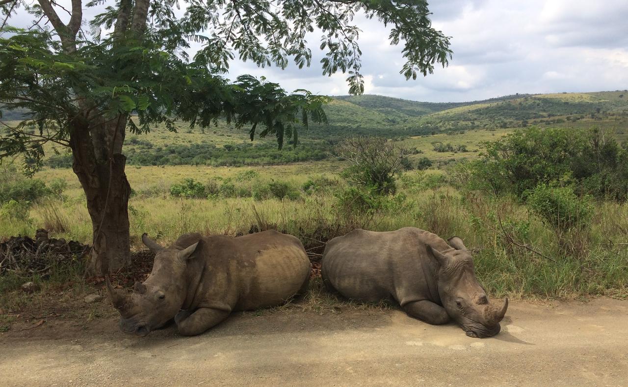 Thula Thula Exclusive Private Game Reserve & Lodge Ntambanana Kültér fotó